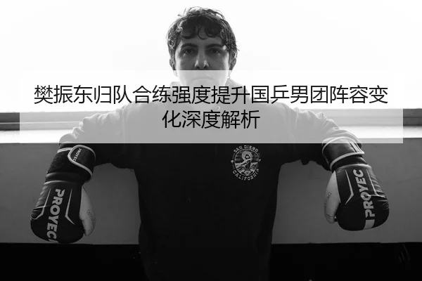 樊振东归队合练强度提升国乒男团阵容变化深度解析